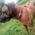 107600620_276514693418914_7981212405398085373_n