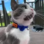 107893674_593677758019399_6758477405635061858_n