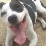 116333263_872845523123656_8500914596261736903_n