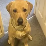 E06A9136-9F98-4335-9F17-B3001D33D0D68780