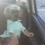 IMG-20230225-WA00146072