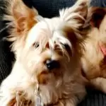 IMG_20211113_122229-scaled3922