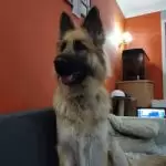 IMG_20230514_223121-scaled7516